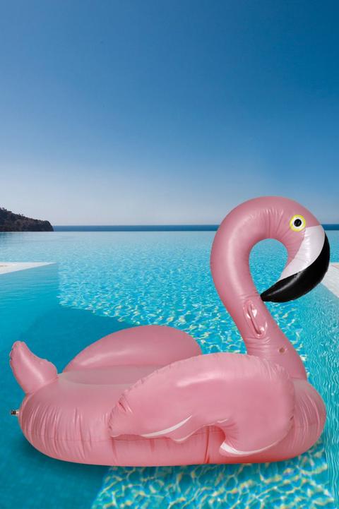 Flamingo Gonfiabile