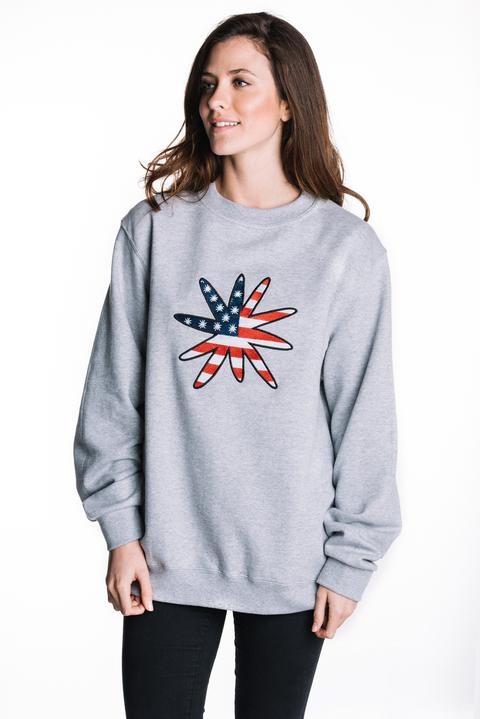 Logo Usa Flag Sweatshirt