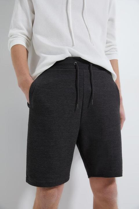 jogger bermuda