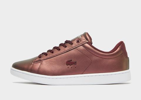 lacoste carnaby evo burgundy