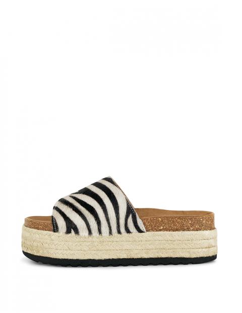 Kendall Zebra X S