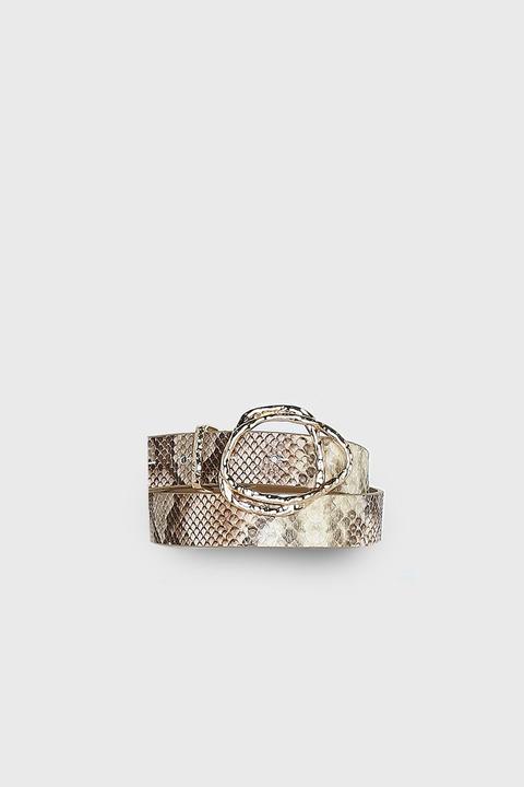 Snake Circle Gold Buckle Belt