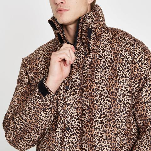 River island snake print jacket deals