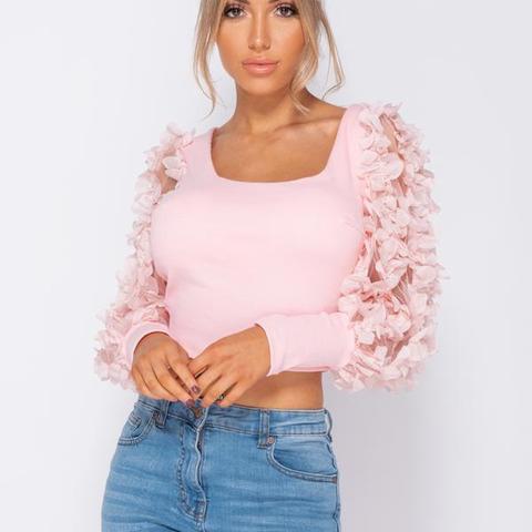 Pink Sheer Frill Sleeve Scoop Neck Cropped Rib Knit Top