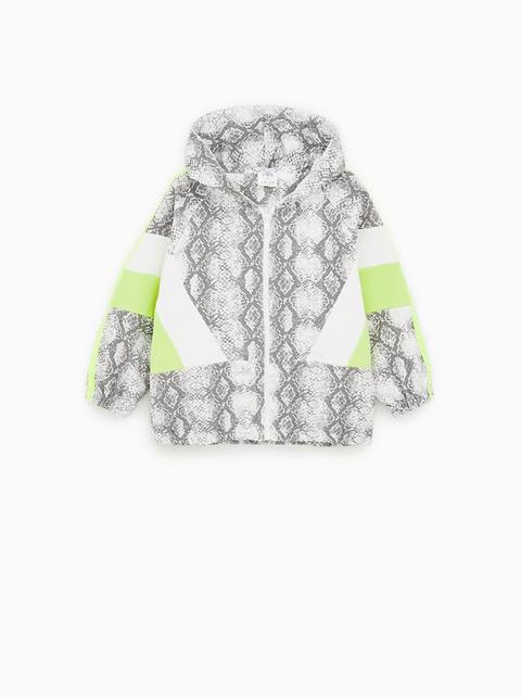 Blouson En Molleton À Imprimé Serpent