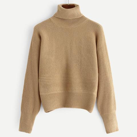 Turtle Neck Solid Jumper