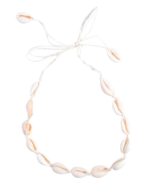 Shell Choker Necklace