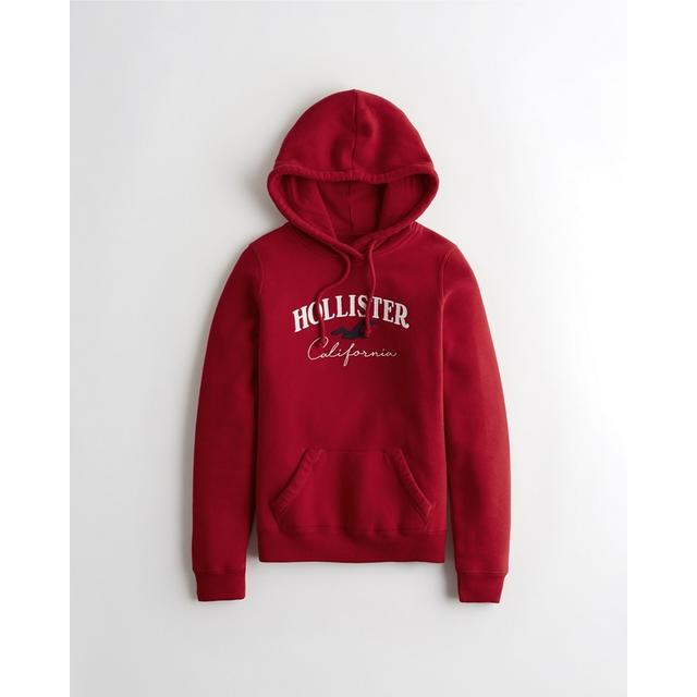 hollister embroidered logo hoodie