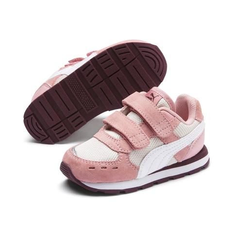 puma neonato