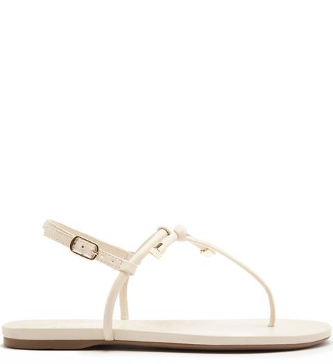 sandalia rasteirinha da arezzo