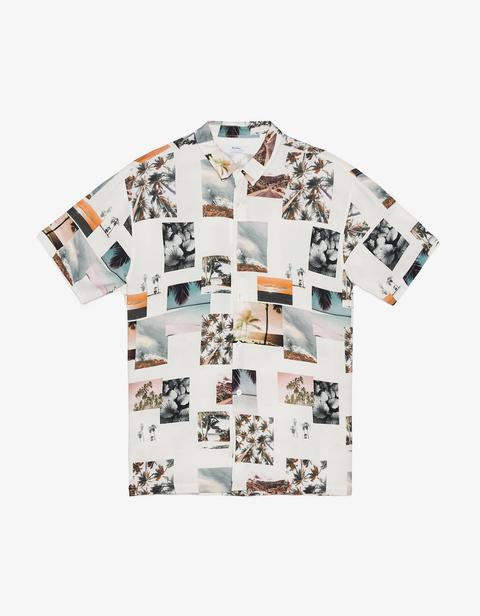 Camisa Tropical