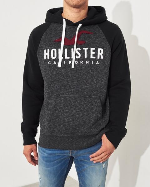 Hollister colorblock deals logo hoodie