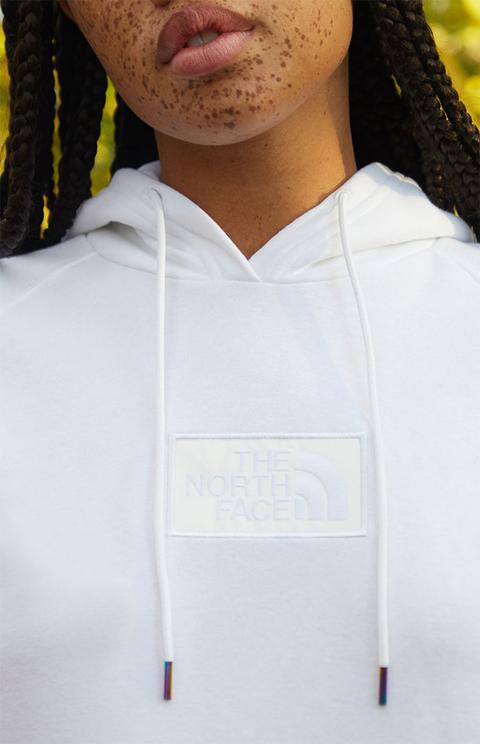 north face north dome pullover hoodie