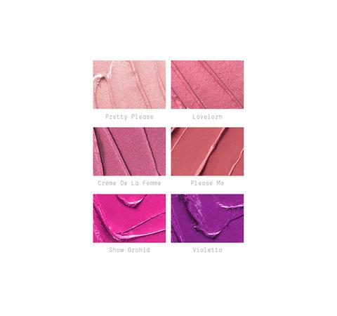 Pro Lip Palette / 6 Preferred Pinks