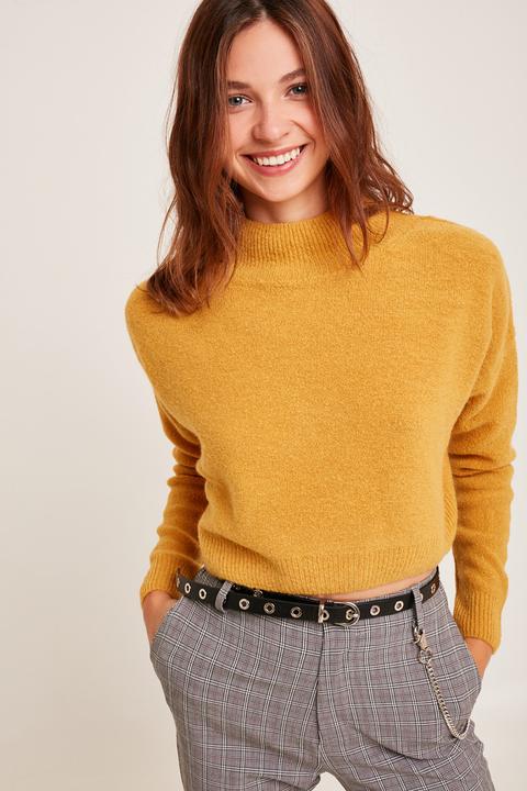 Jersey Crop