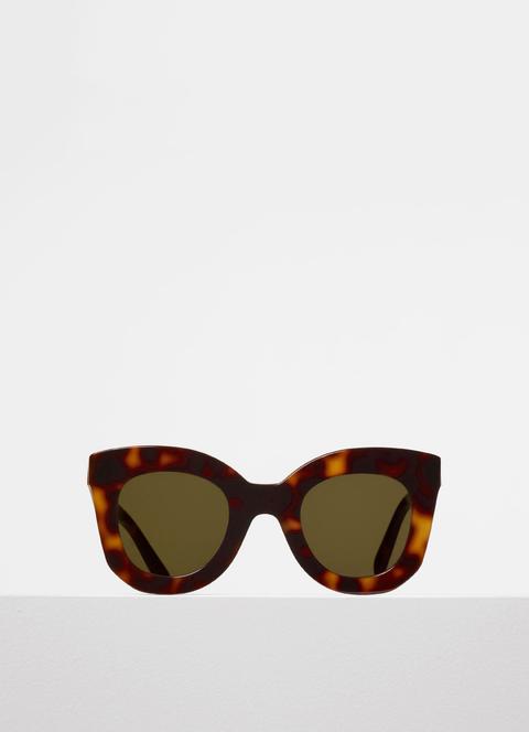 Butterfly Sunglasses In Acetate