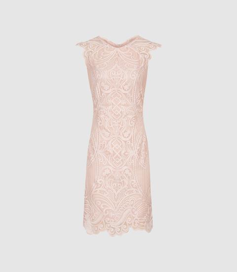 Reiss Roxanda - Lace Bodycon Dress In Blush