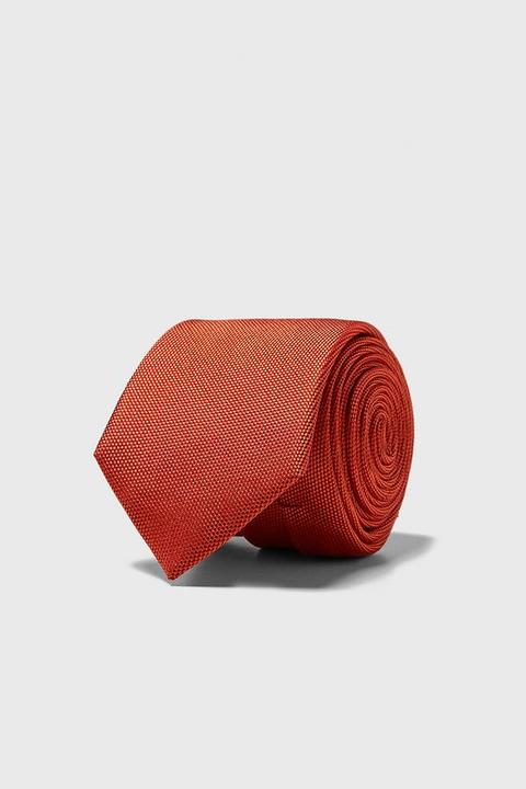 Corbata Ancha Estructura