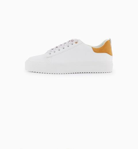 promod basket homme