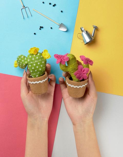 Decoraciones De Cactus De Punto De Sass & Belle