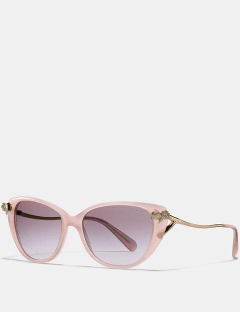 Tea Rose Sunglasses