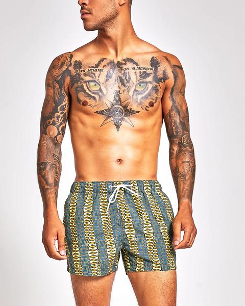 Green Stripe Print Swim Shorts