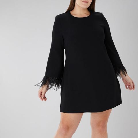 Coast amiah store feather dress