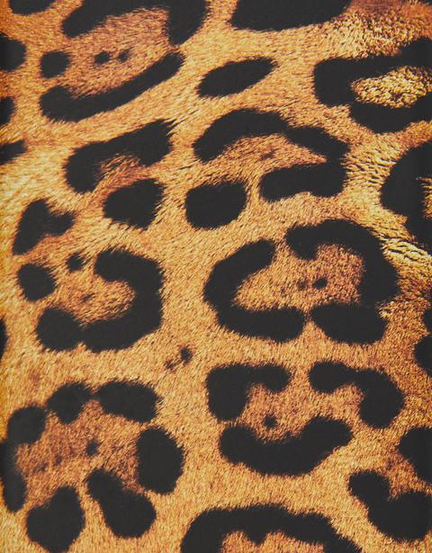 Carcasa De Leopardo Iphone 6 /6s/7/8