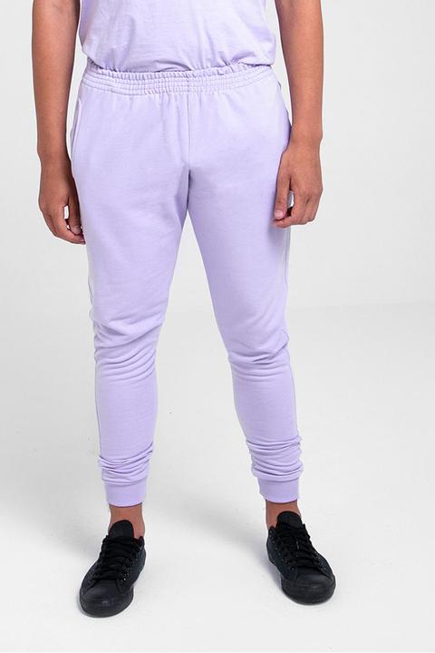 Jogger Lilac