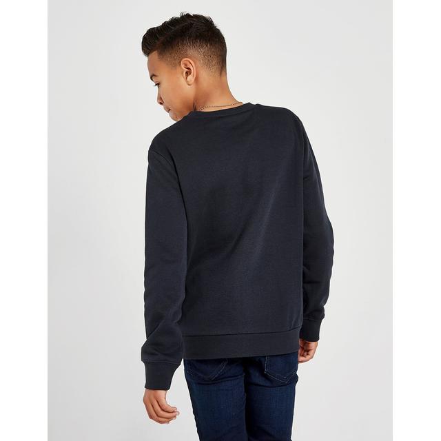 champion legacy fleece crew sweatshirt junior