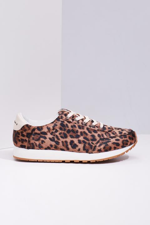 Running Leopardo