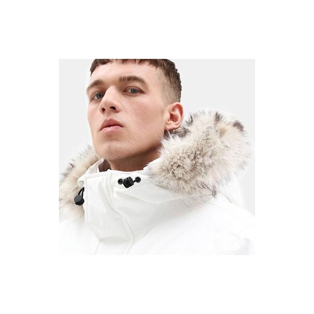 timberland nordic parka
