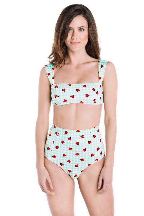 Vichy Lady Bugs