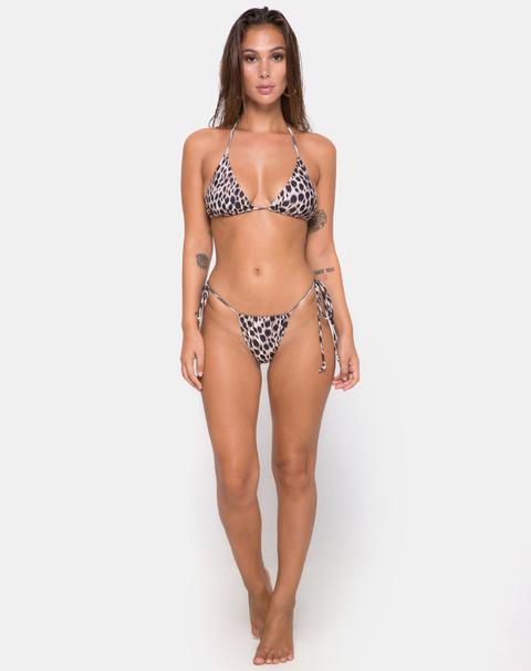 Mone Bottom Bikini In Original Cheetah By Motel