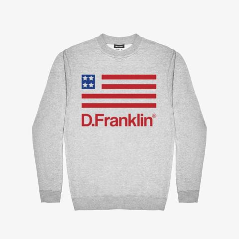 Usa Sweatshirt Grey