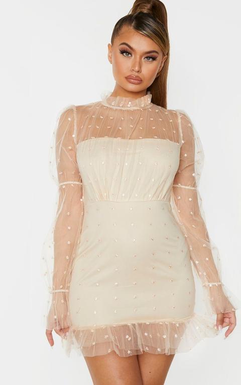 Robe Moulante Nude En Mesh À Pois Col Montant Et Ourlet Volanté, Neutre