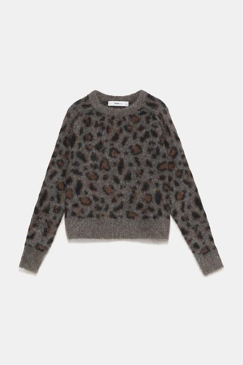 Pullover Con Stampa Animalier