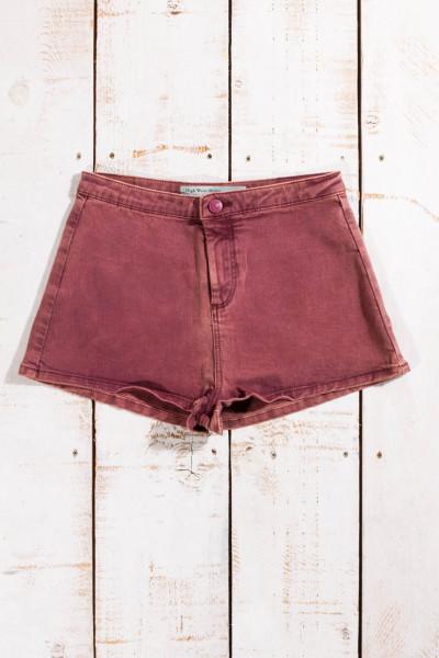 High Waist Shorts