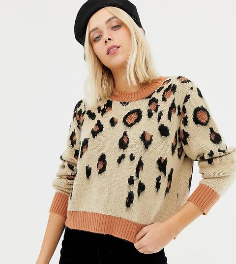 Miss Selfridge Jumper In Leopard-multi