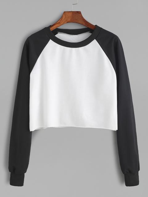 Contrast Raglan Sleeve Curved Hem Crop Sweatshirt