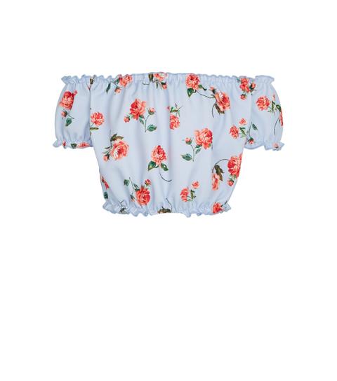 pale blue bardot top