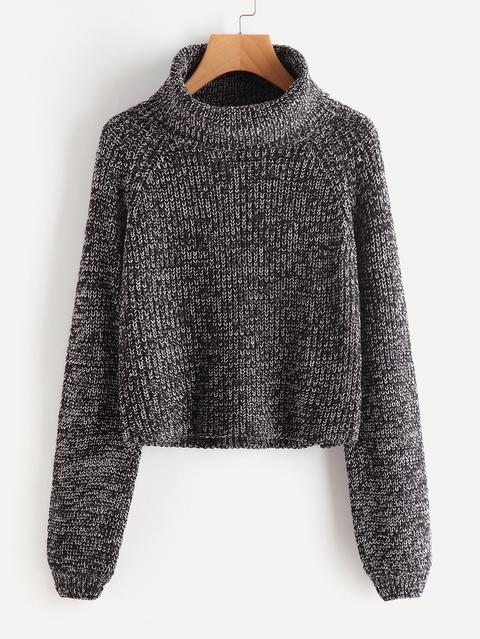 Roll Neck Raglan Sleeve Marled Knit Sweater