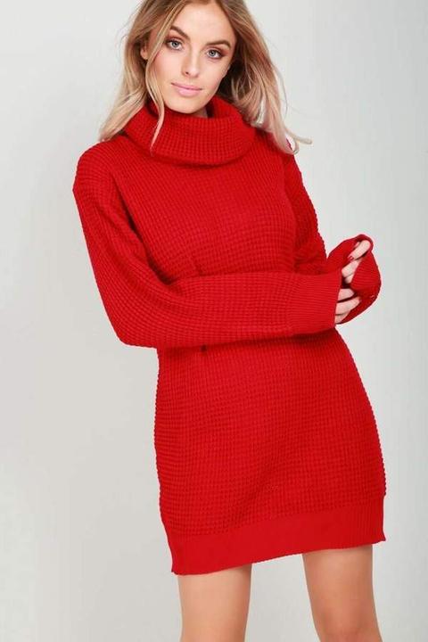 Sophia Long Sleeve Roll Neck Oversized Knitted Dress