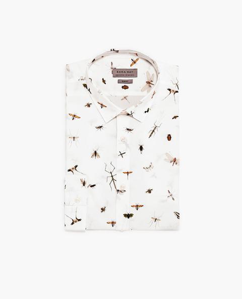 Camisa Estampado Insectos