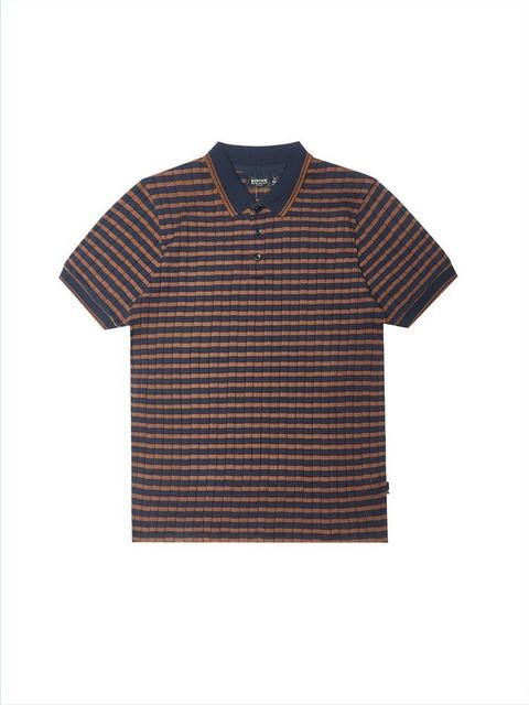 Navy And Tobacco Striped Knitted Polo