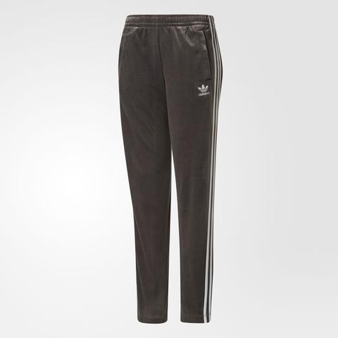 Track Pants Velour