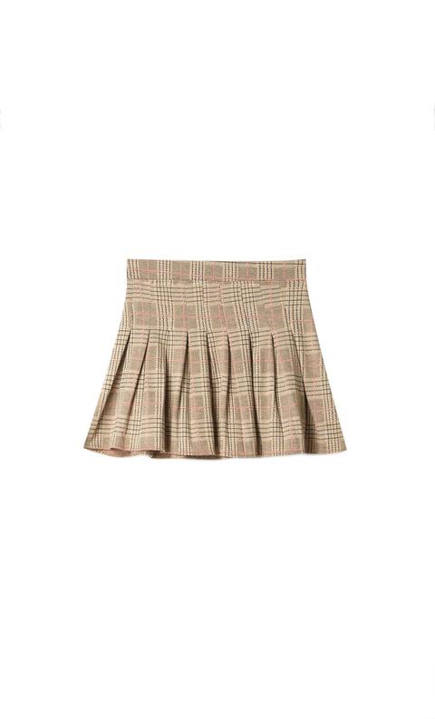 Pleated Skirt