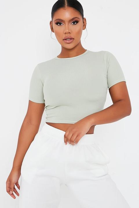 Sage Rib Fitted Crop T Shirt