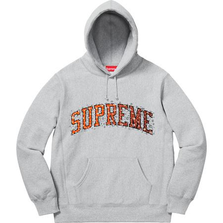 supreme arc hooded sweatshirt