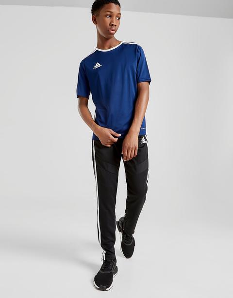 adidas tiro track pants junior
